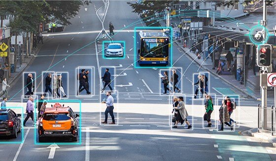 Human Pose Estimation for Traffic Management